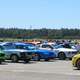 Mustangs, Mustangs, Mustangs